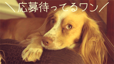 高収入アルバイト求人情報（応募受付）